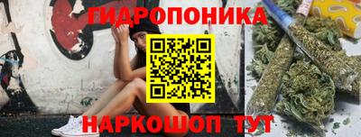 PSILOCYBIN Балахна