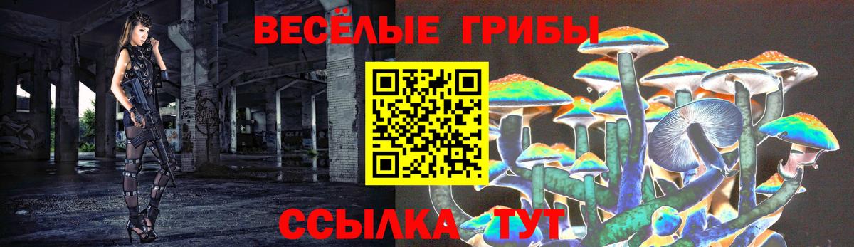 Видное  Галлюциногенные грибы ЛСД  где найти наркотики  Вход с VPN  Галлюциногенные грибы прущие грибы 